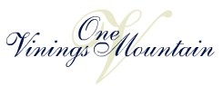 One Vinings Mountain